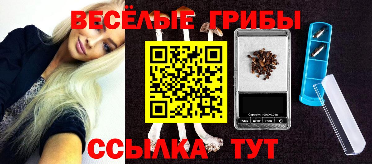 Братск  Галлюциногенные грибы Cubensis  Вход с VPN 
